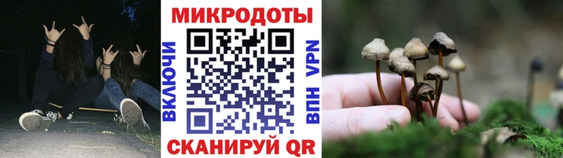 Галлюциногенные грибы Psilocybe  даркнет сайт  Меленки 